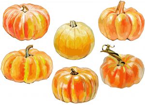 秋の味覚「かぼちゃ」